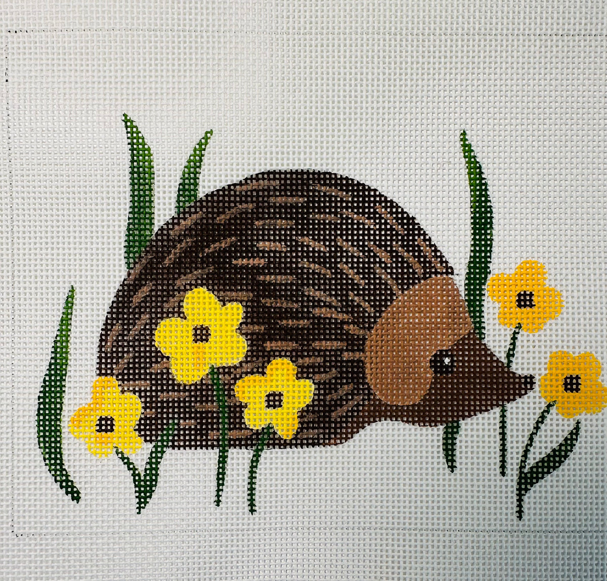 Hedgehog in Daisies C-ME144