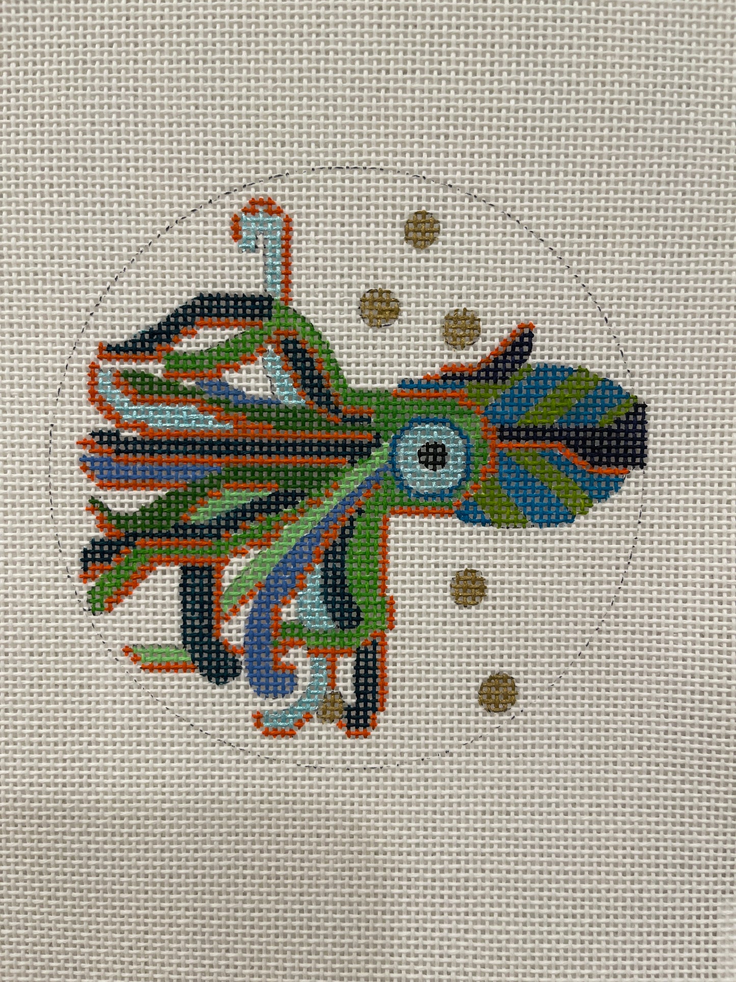 Squid Multicolored C-MPDH284