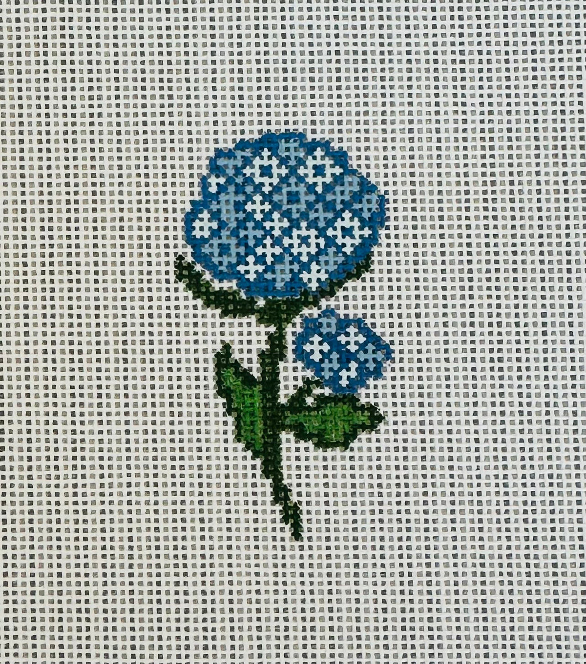 Mini Hydrangea C-SSMINH
