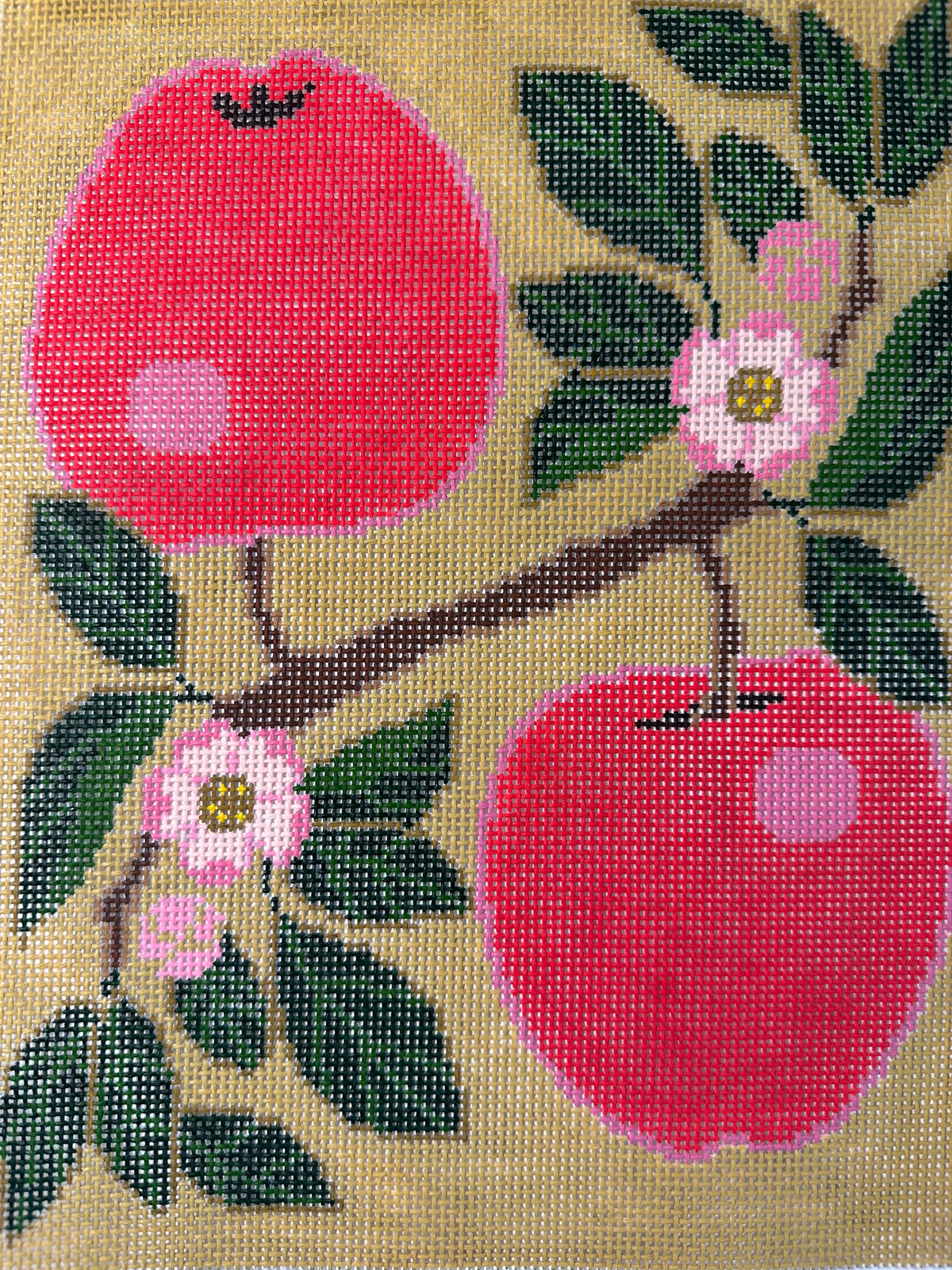 Apples C-CL11113