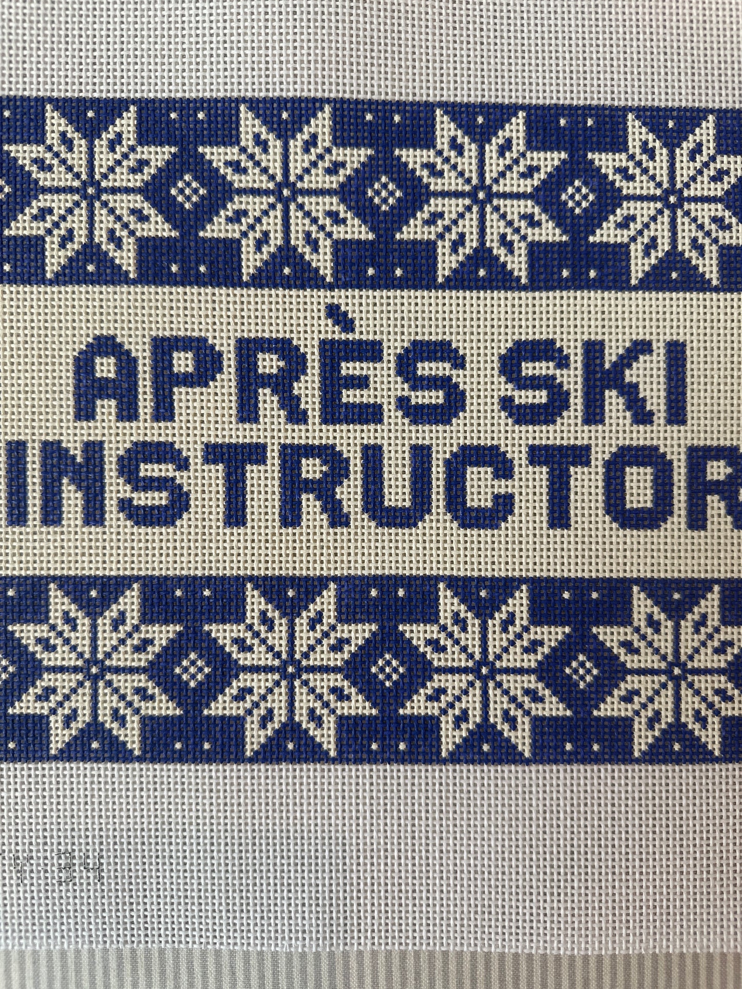 Apres Ski Instructor C-SASCTY034