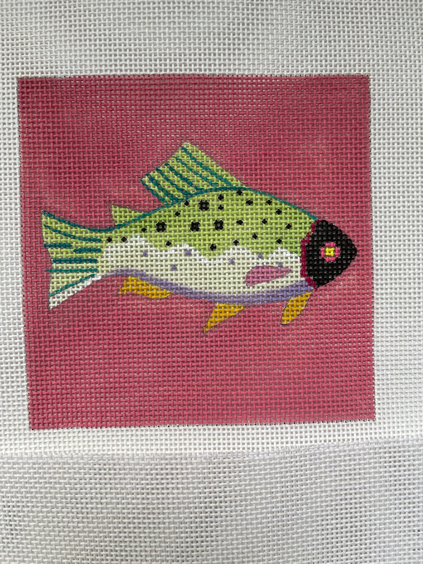 Fish Coaster Set C-COP474-477