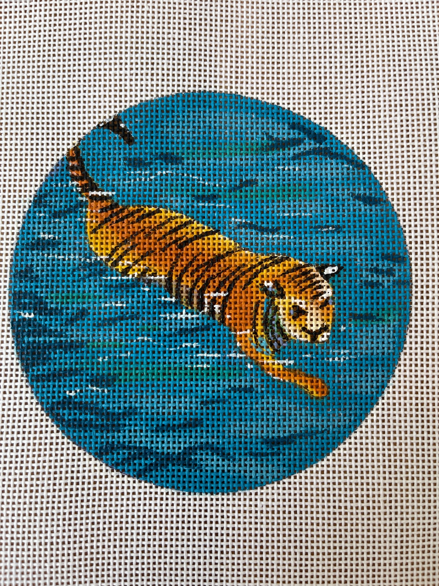 Tiger in Water C-COPIN553