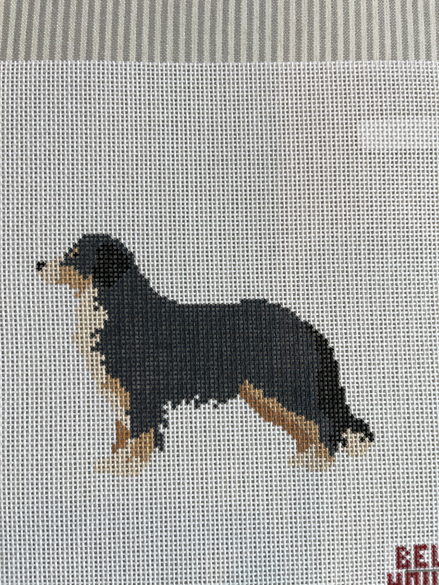 Bernese C-BH071