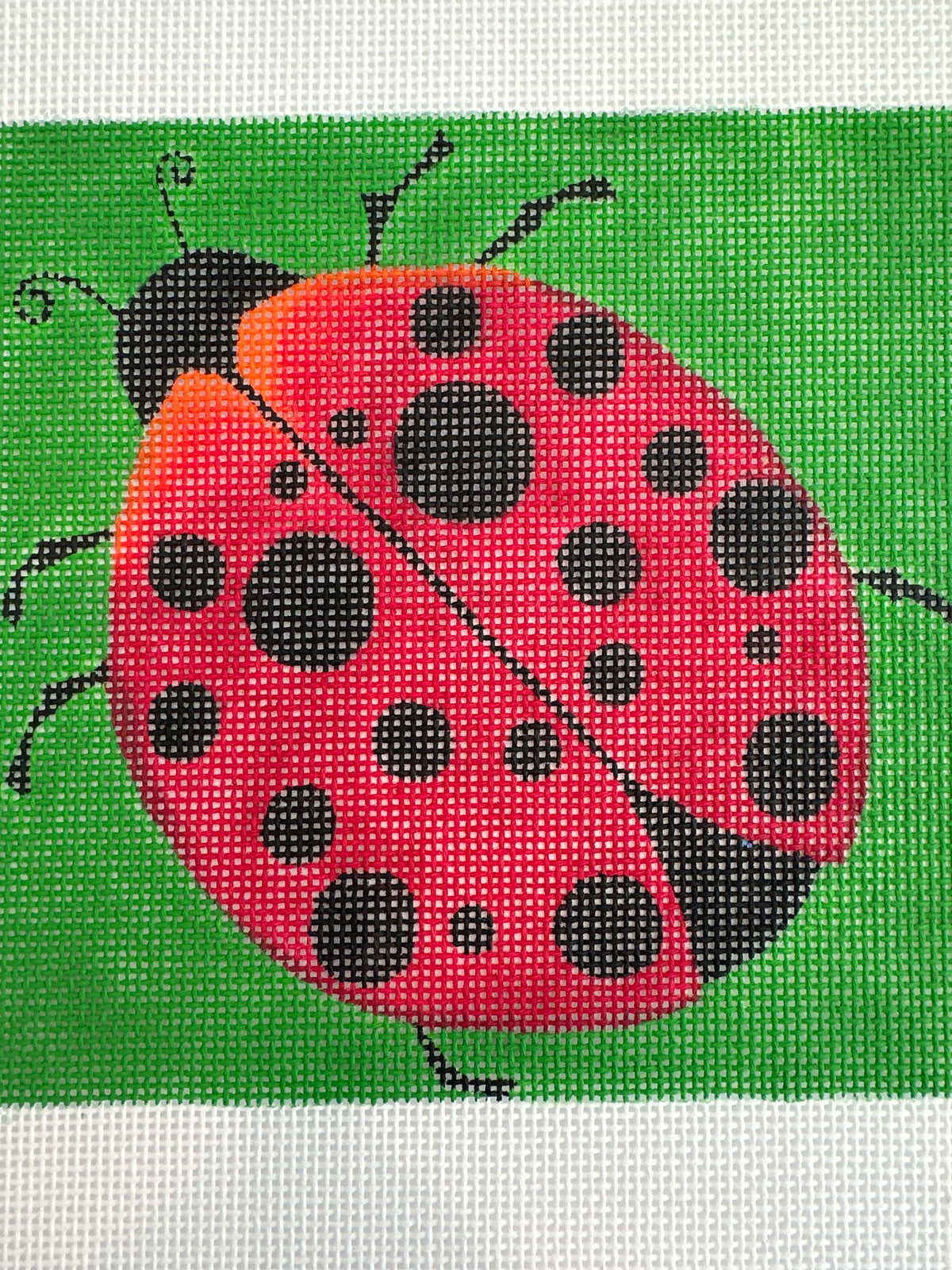 Lady Bug C-ZE284