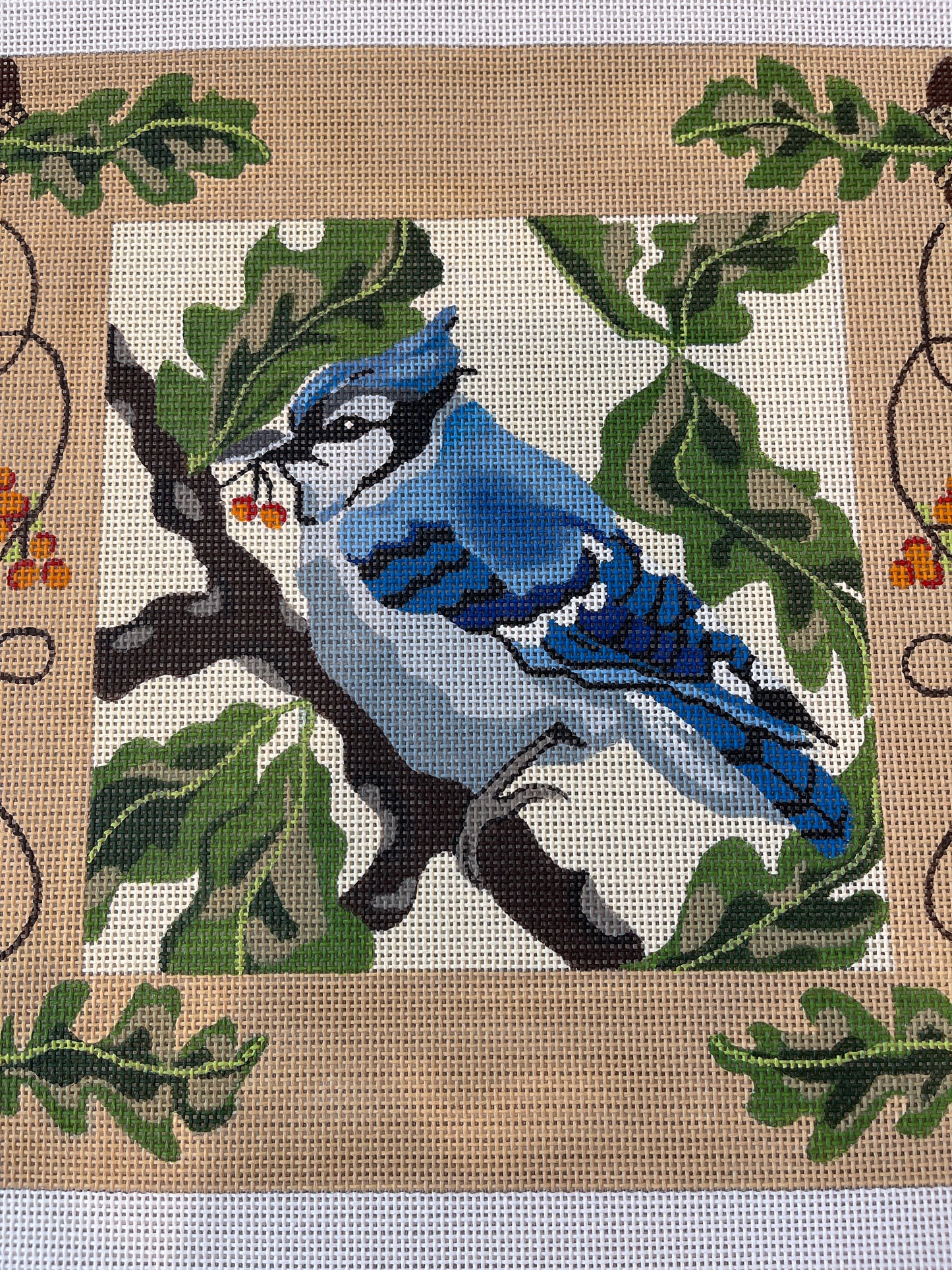 Blue Jay Pillow C-MPD308