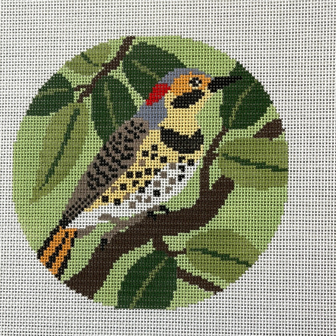 Flicker Bird C-KCD1838