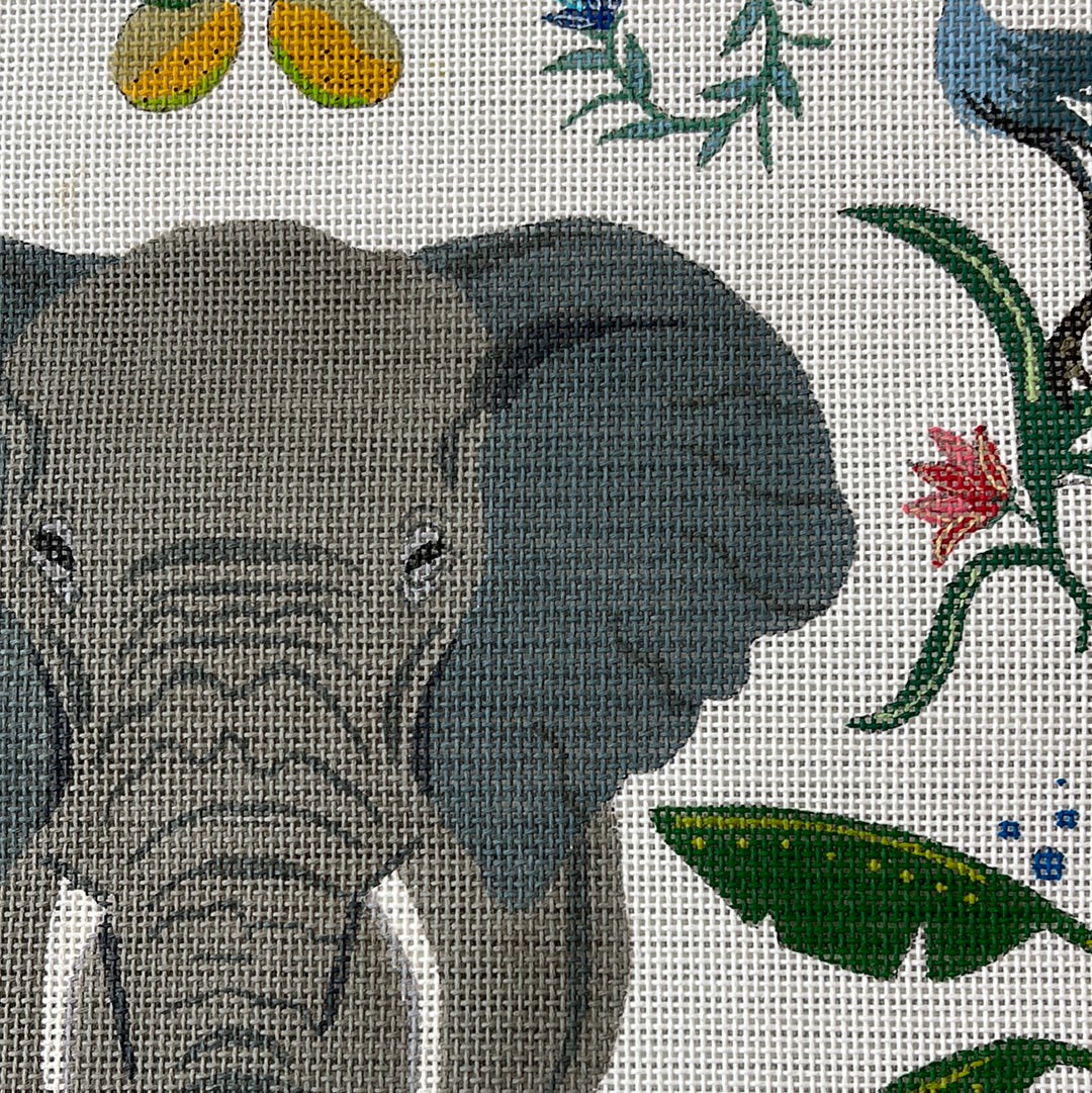 Elephant in Botanical Background C-AT103eA