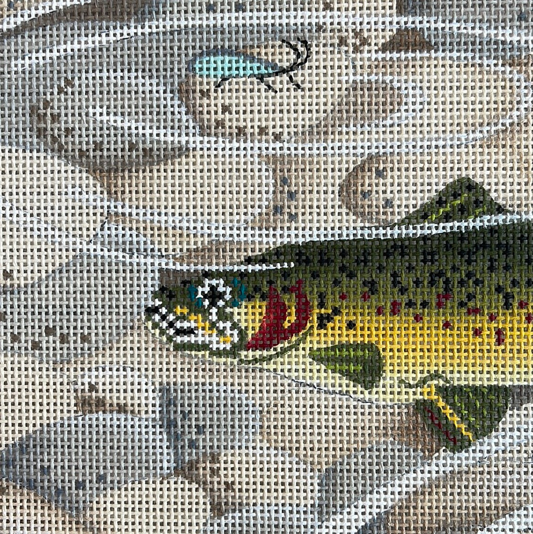 Swimming Trout C-FDP ED1283
