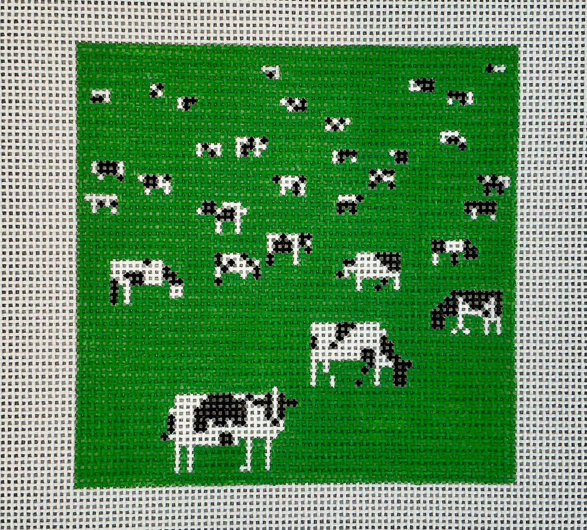 Grazing C-AB06