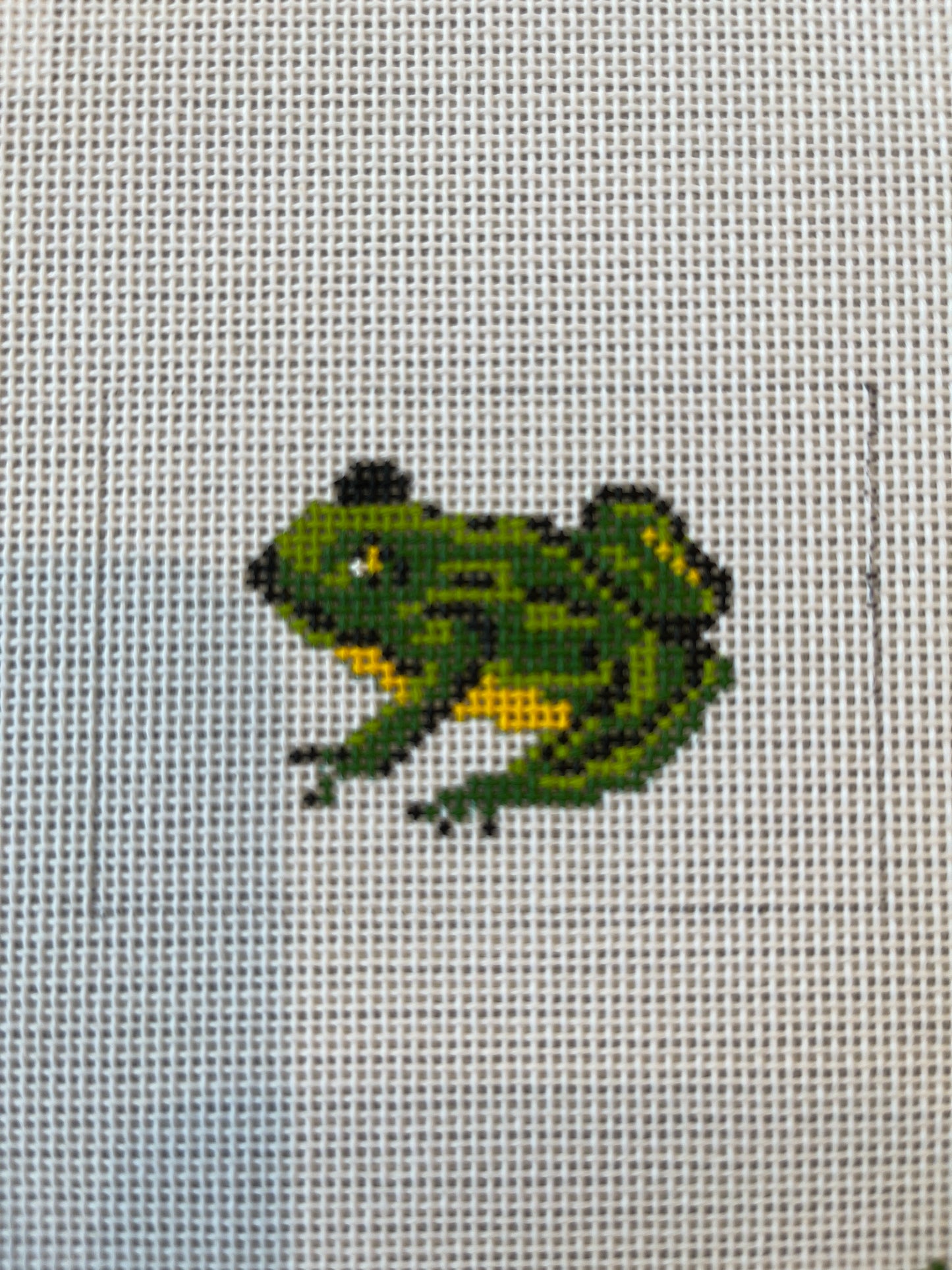 Frog Luggage Tag C-AB61