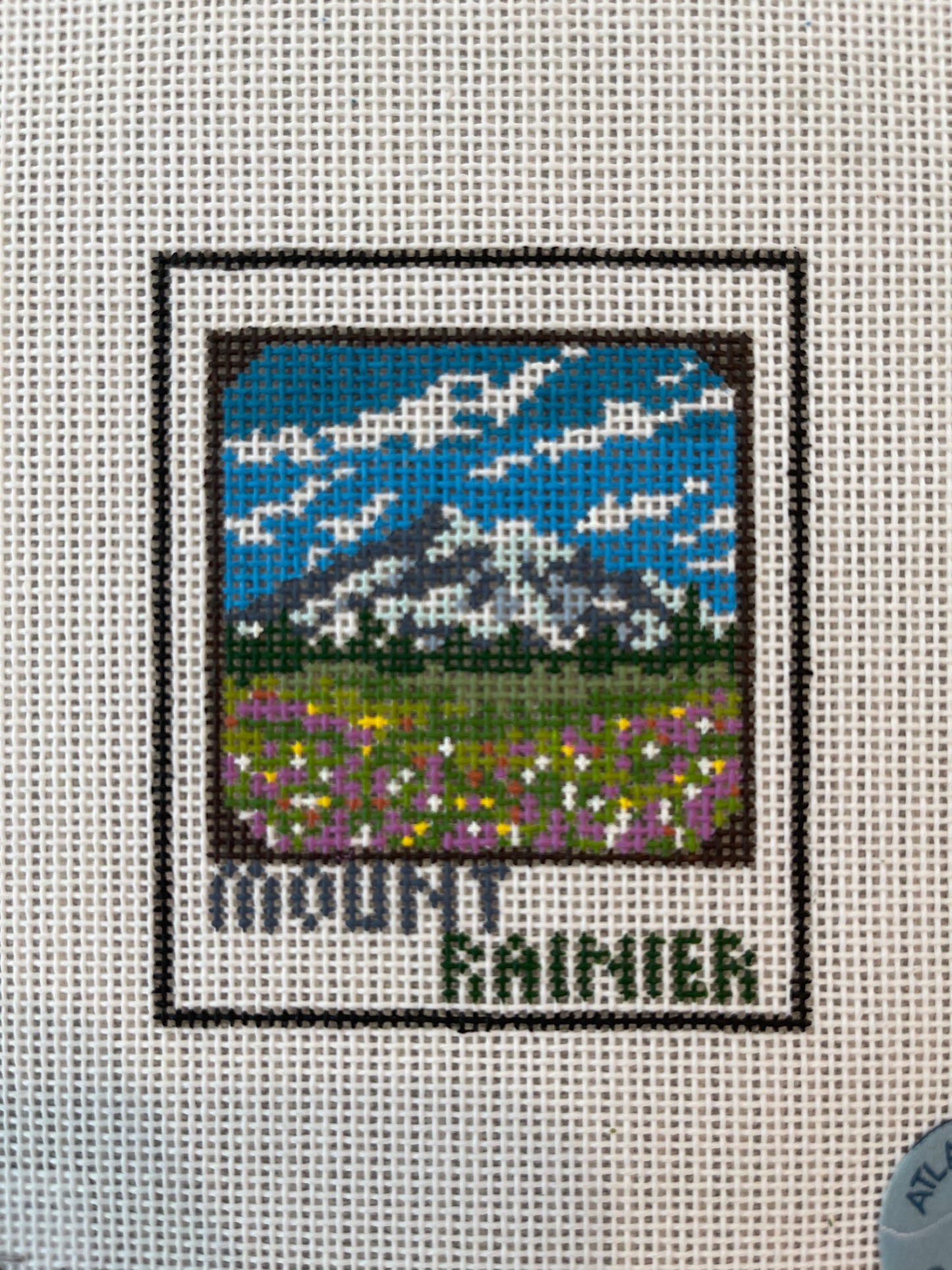Mount Rainer Polaroid C-ABCNP143