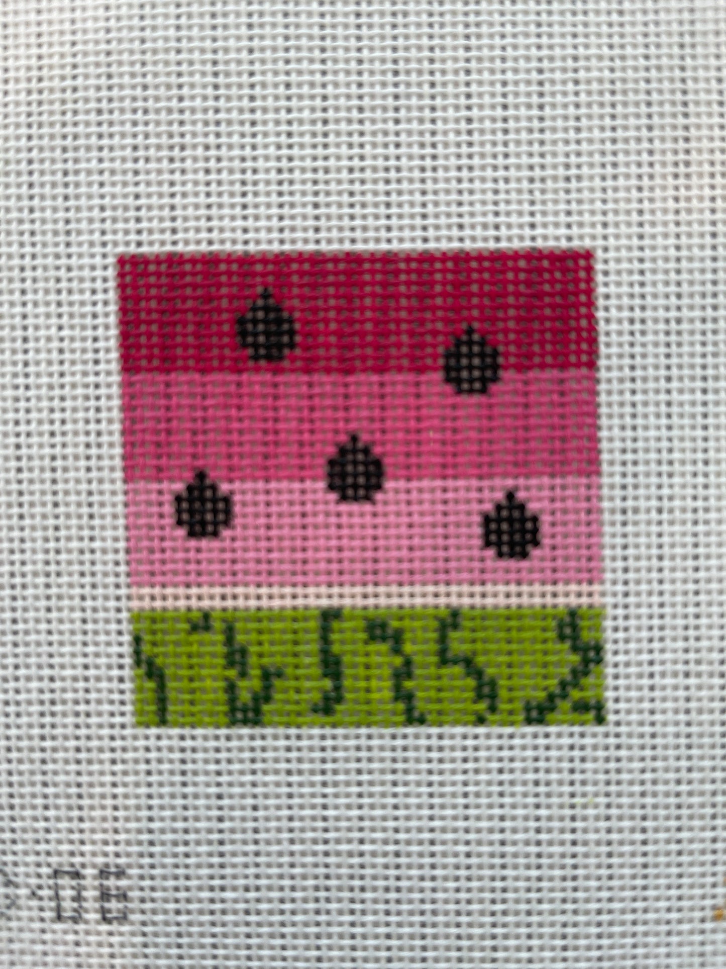 Watermelon Can Cozy C-OO06