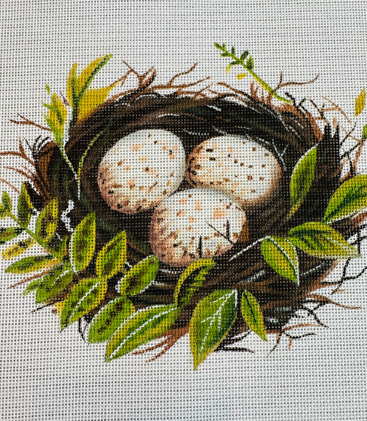 Bird Nest C-FF343