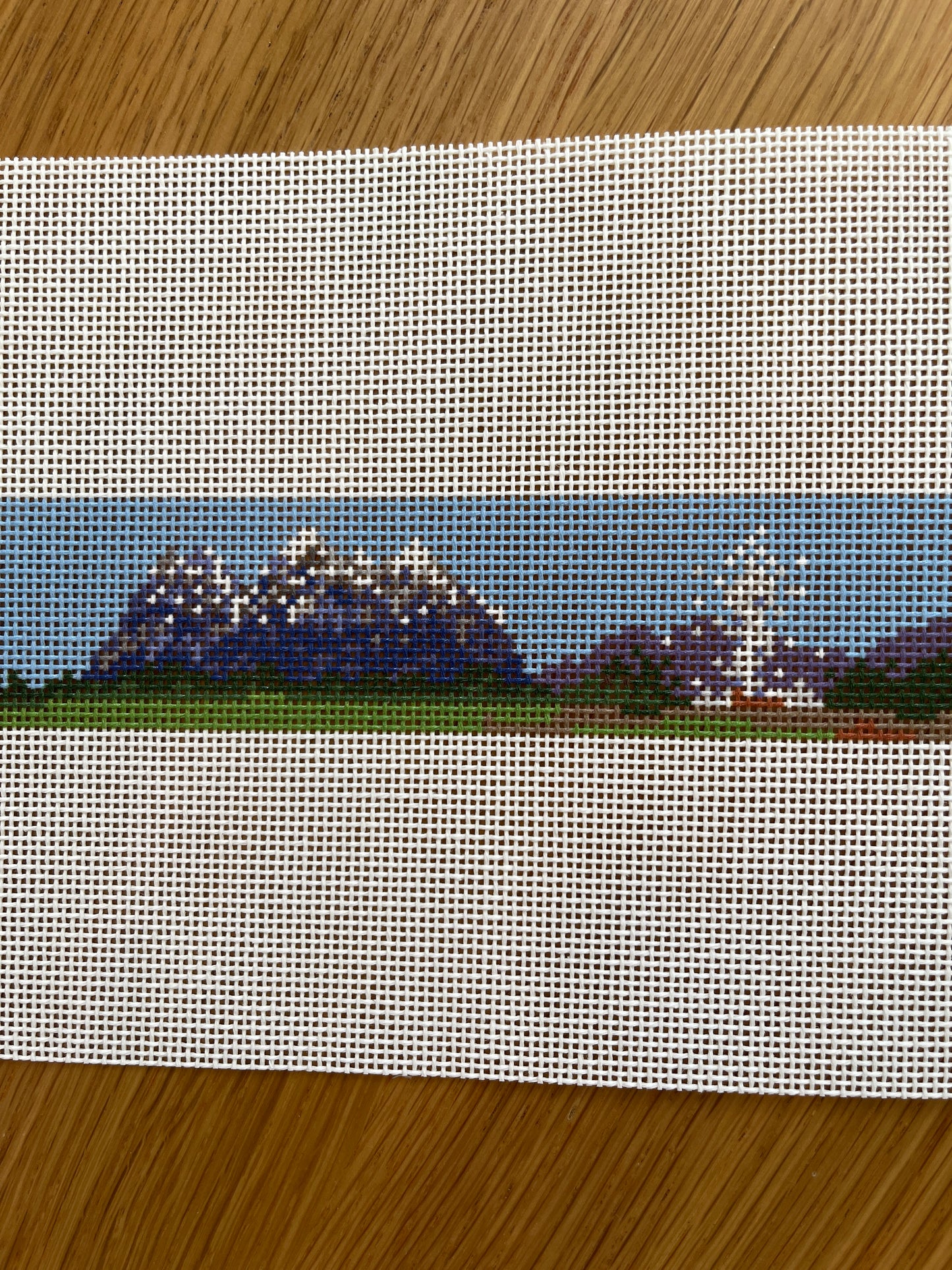 National Parks Belt C-N49218