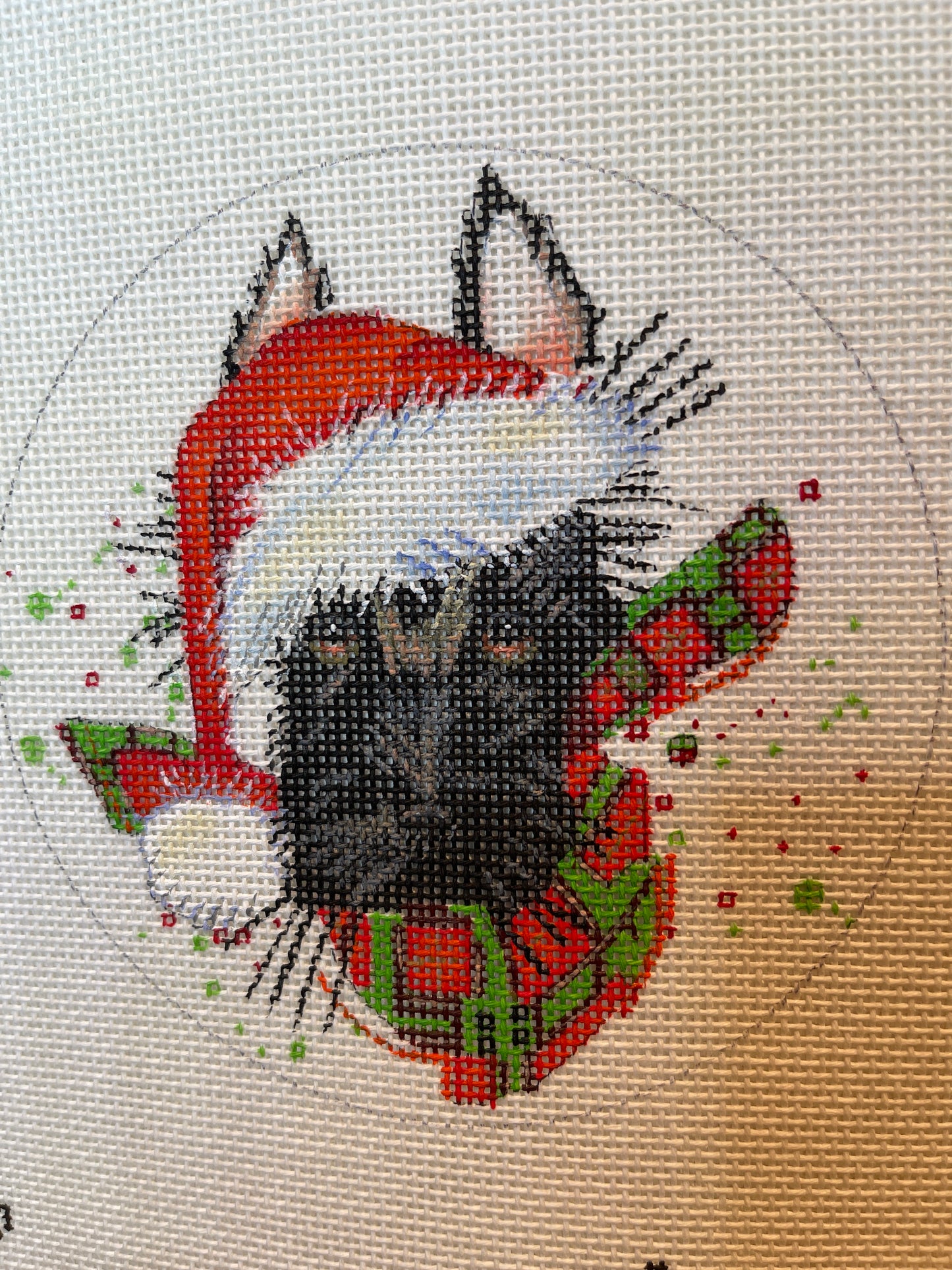 Dog in Santa Hat and Plaid Scarf C-M267