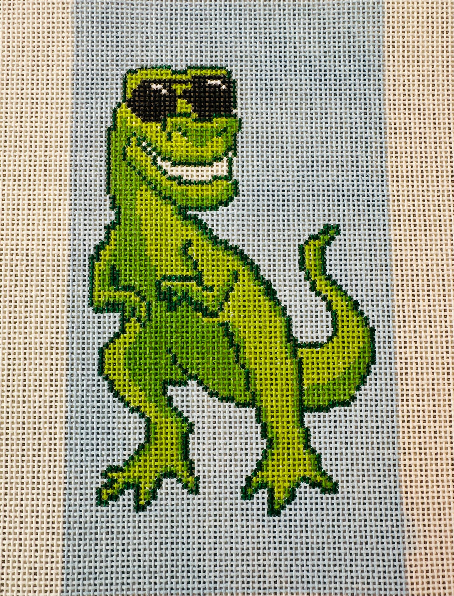 T Rex Eyeglass Case TS-EGC08