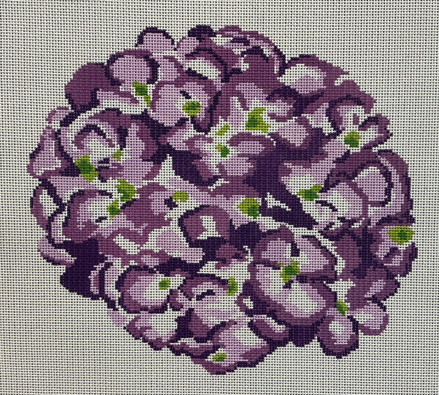 Purple Hydrangea C-IKS2052C