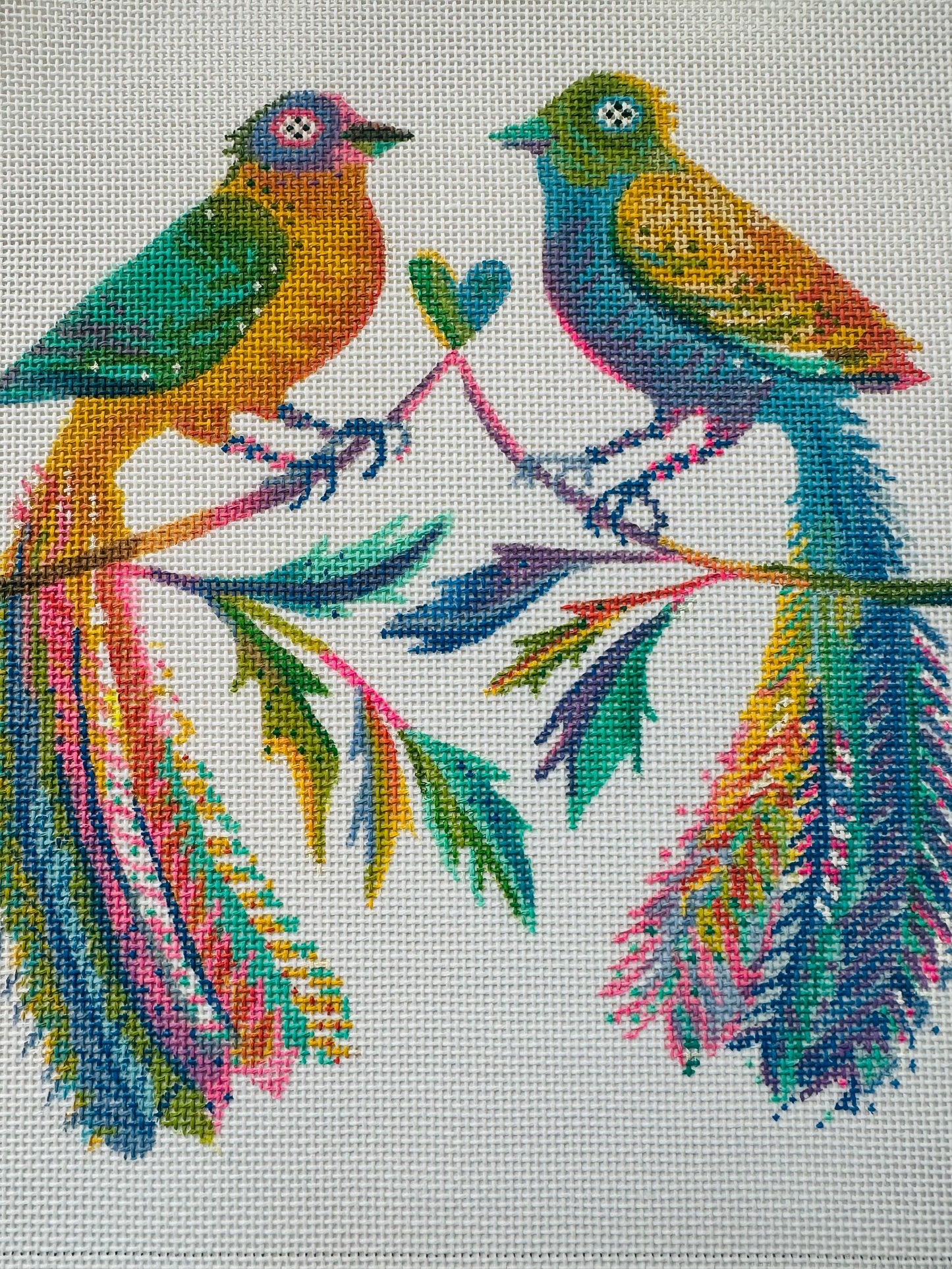 Love Birds C-ABPL04