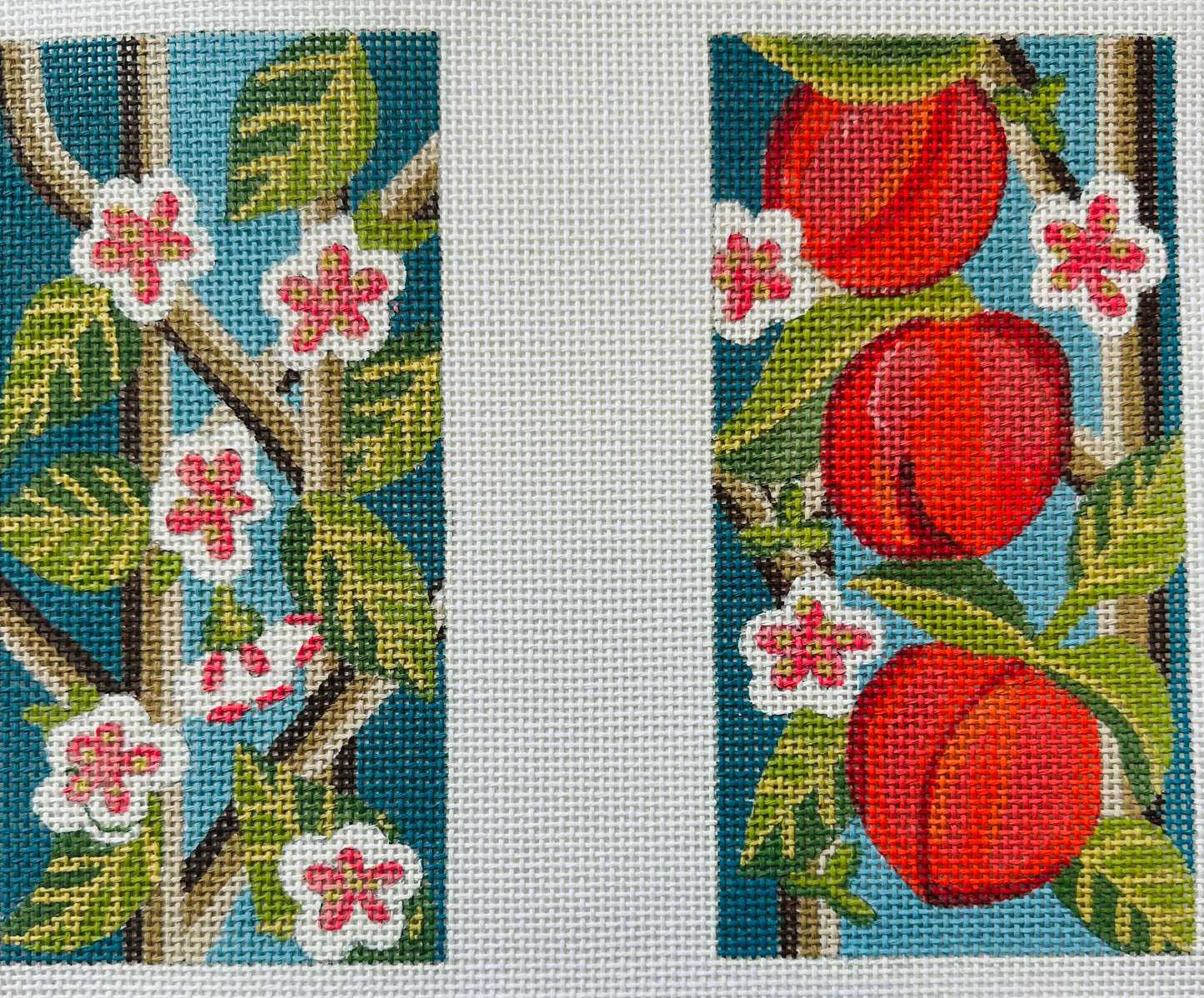 Peaches 2 Sided Eyeglass Case C-AP4814