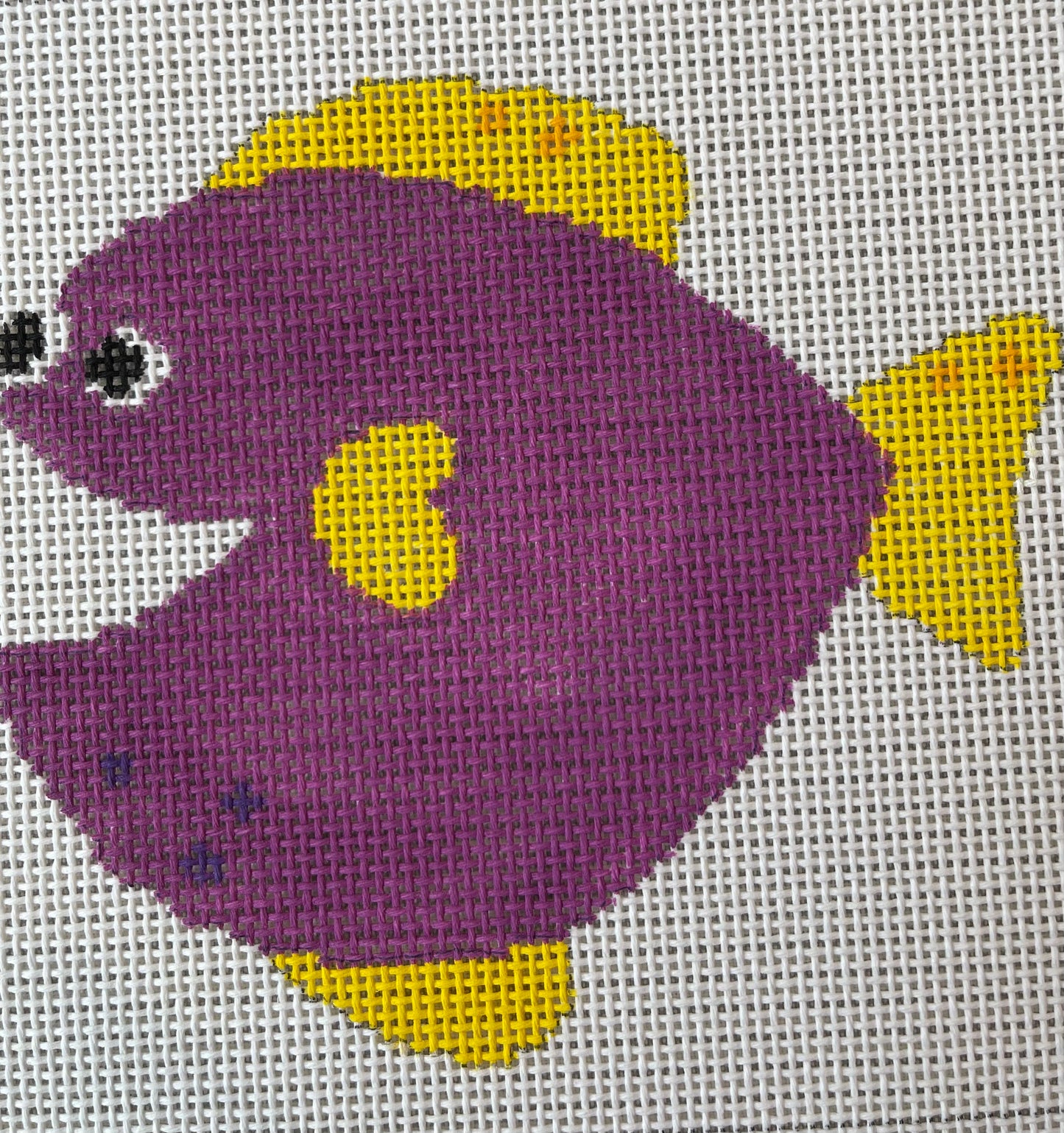 Purple Fish TS-ASIT540