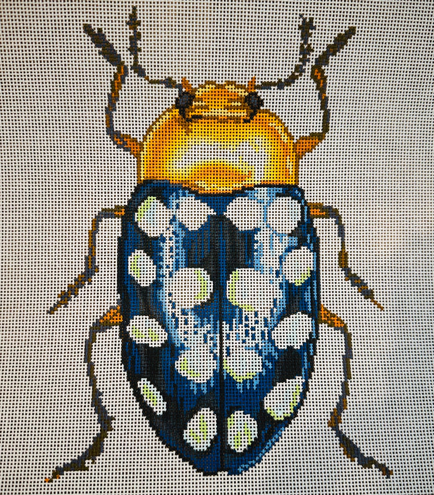 Little Bug Blue and Gold C-TMC591BB