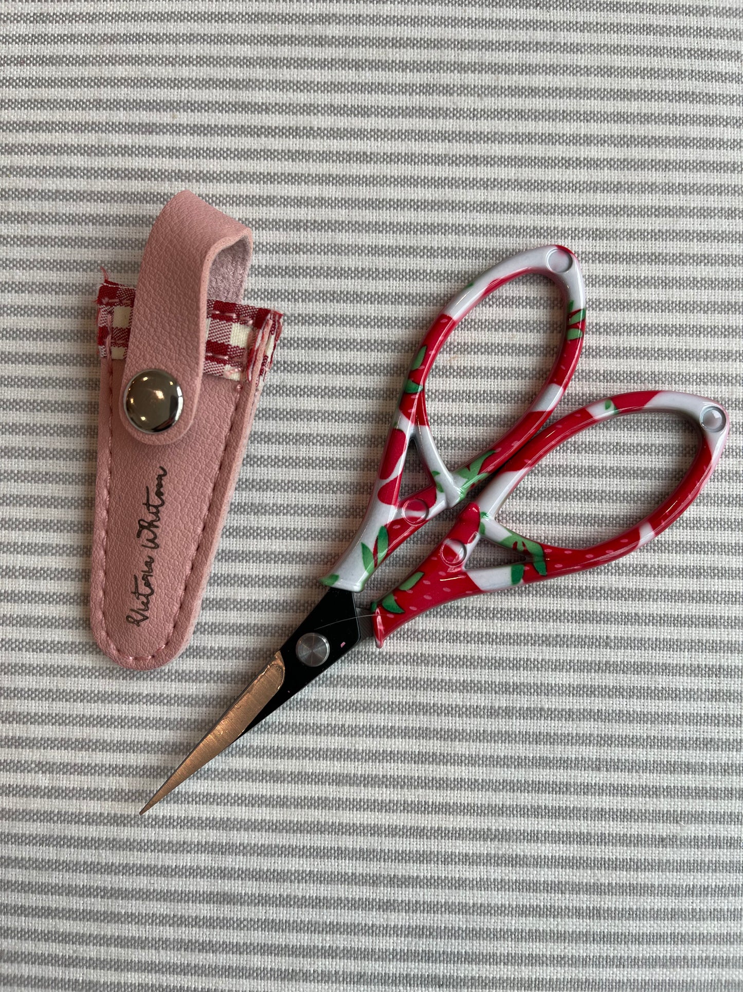 Strawberry Scissors with Case A-VWberry