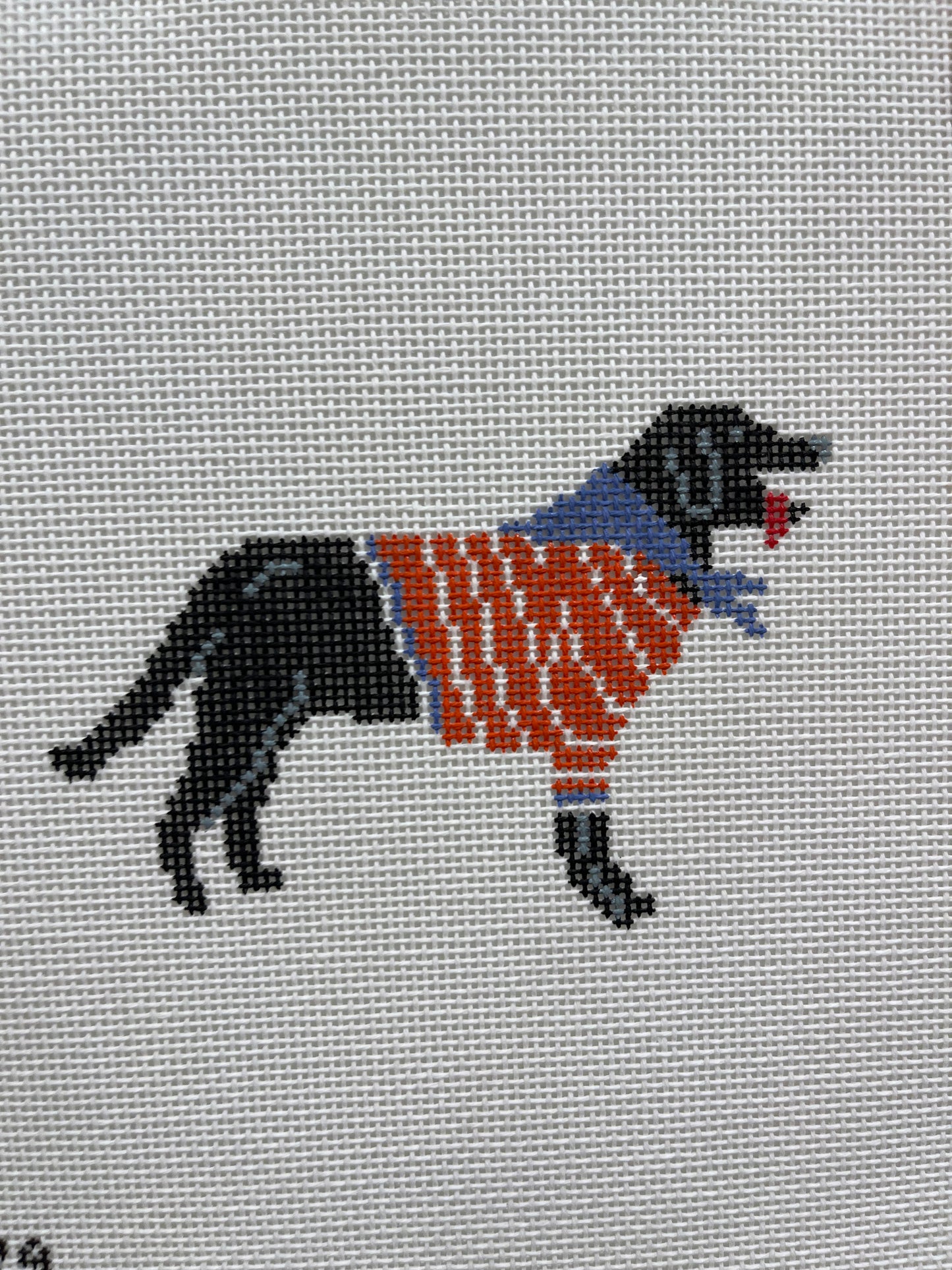 Black Dog with Sweater C-JTD279