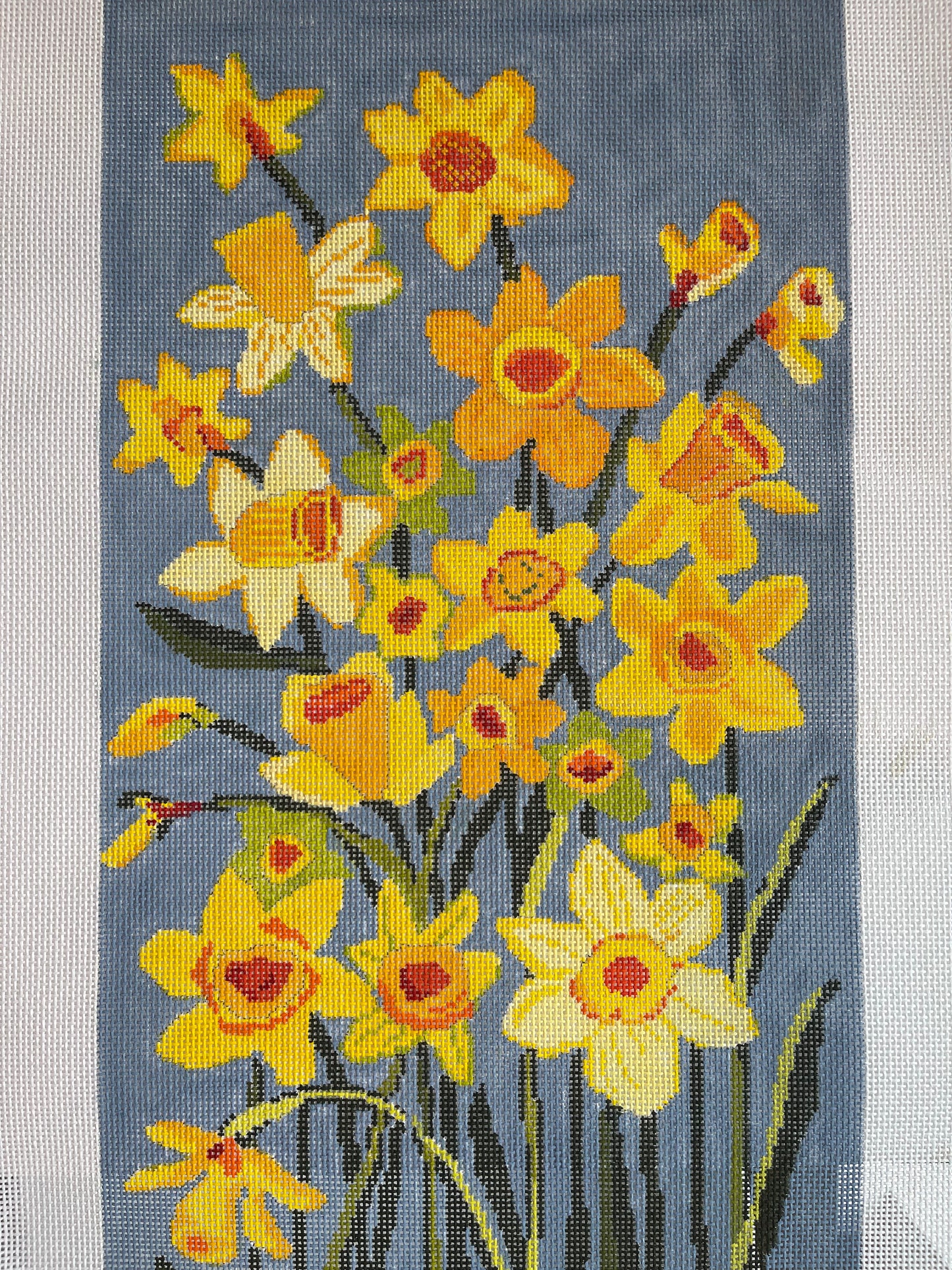 Daffodils TS-KAA9021