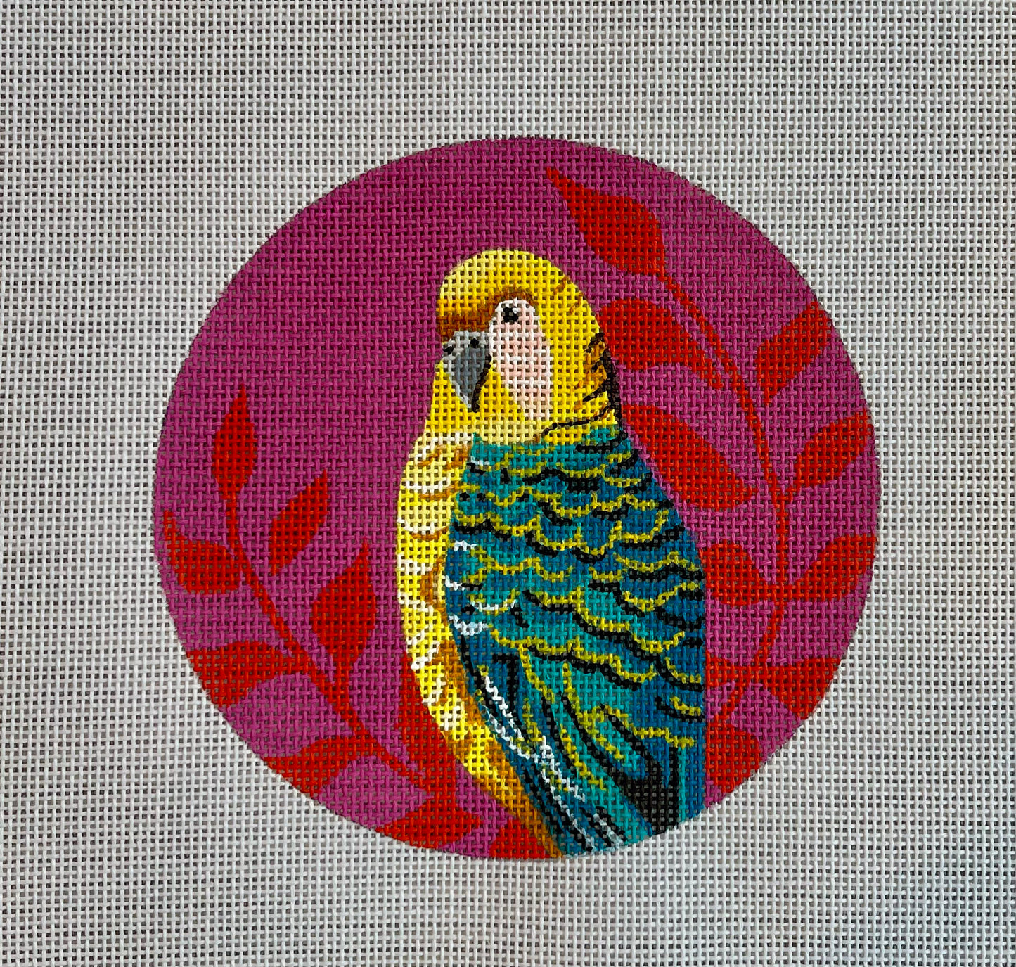Parakeet C-IN809