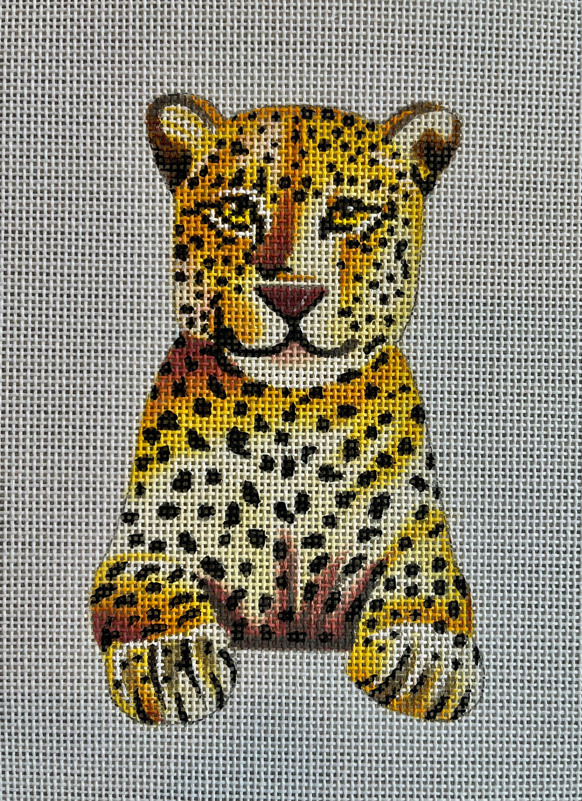 Leopard Cub C-IN717
