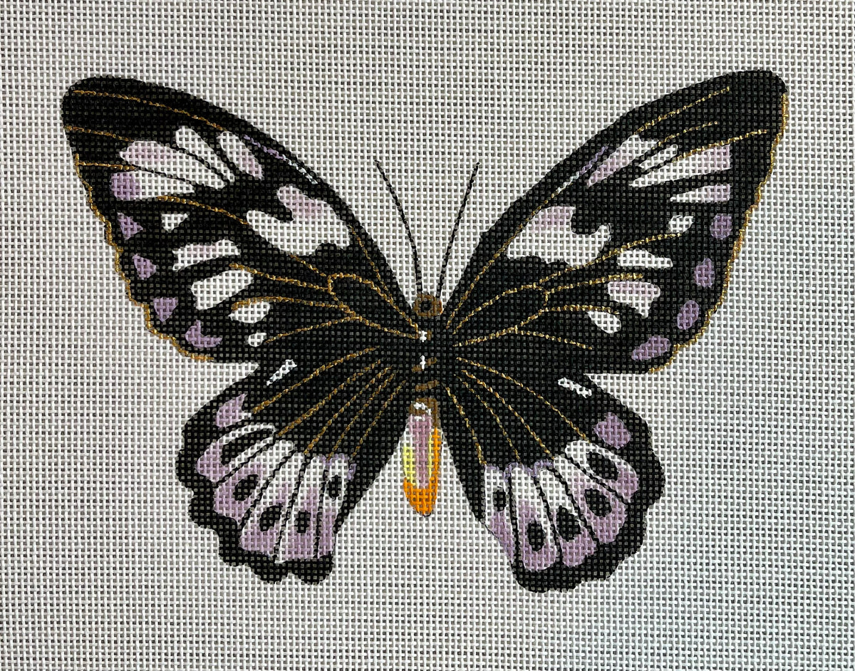 Black and Purple Butterfly C-AN448