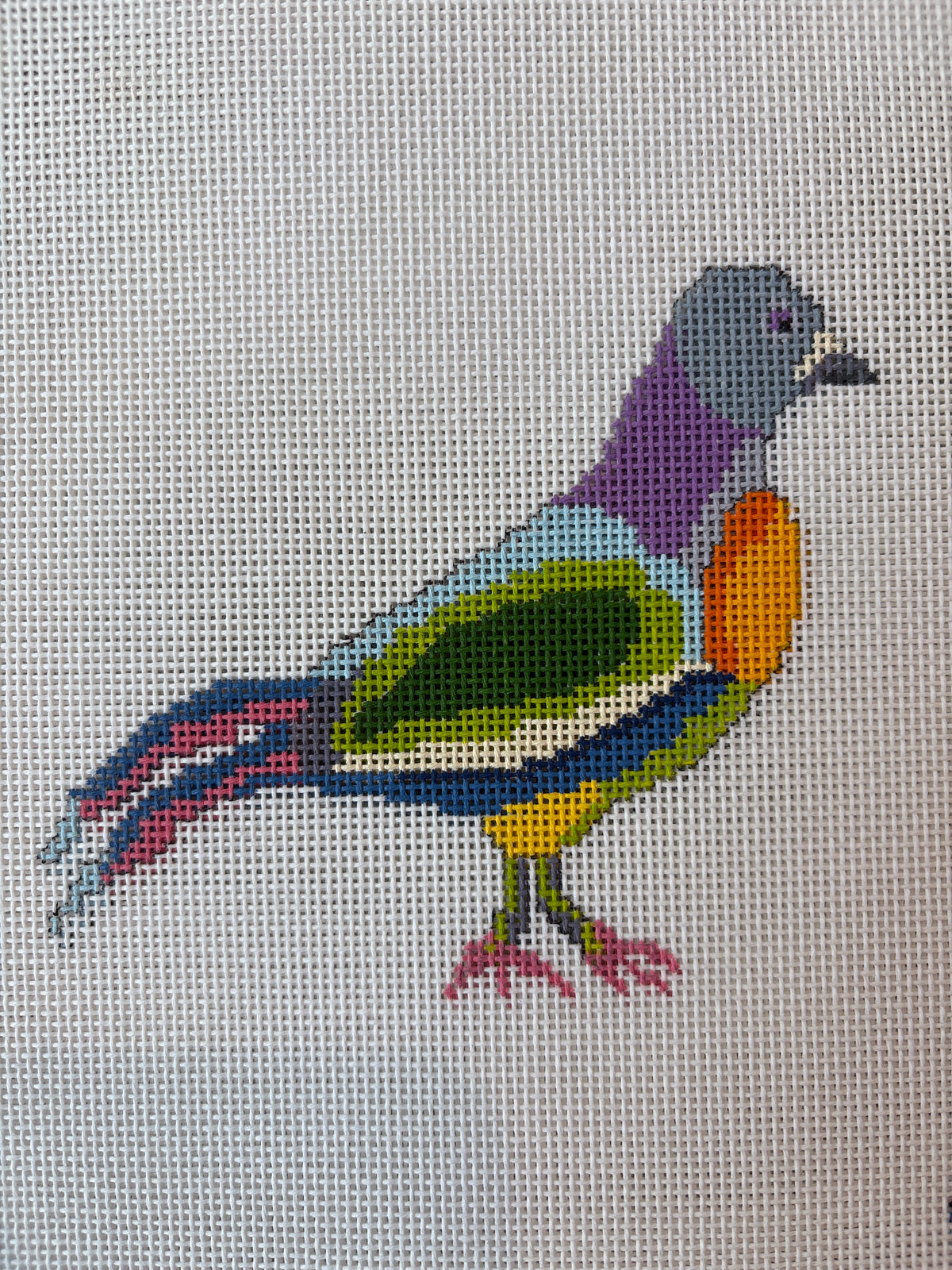 Fancy Pigeon C-TSC39