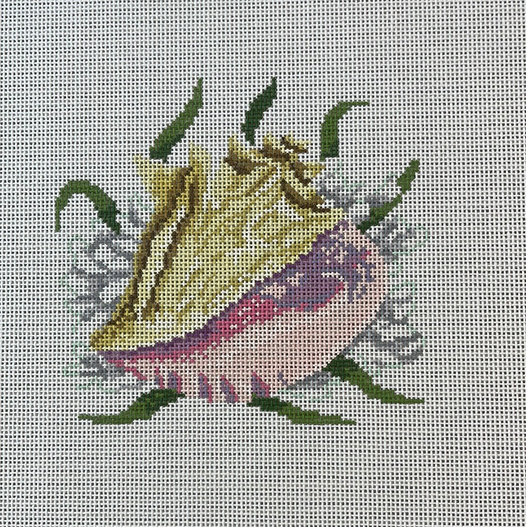 Queen Shell C-SR765