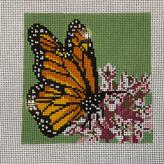 Monarch Butterfly on Milkweed TS-BRT20