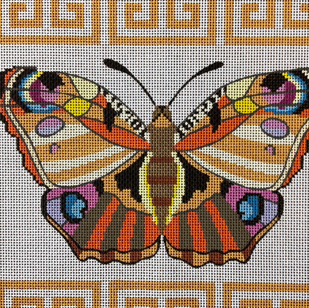 Butterfly in Key Frame C-VNG A24013