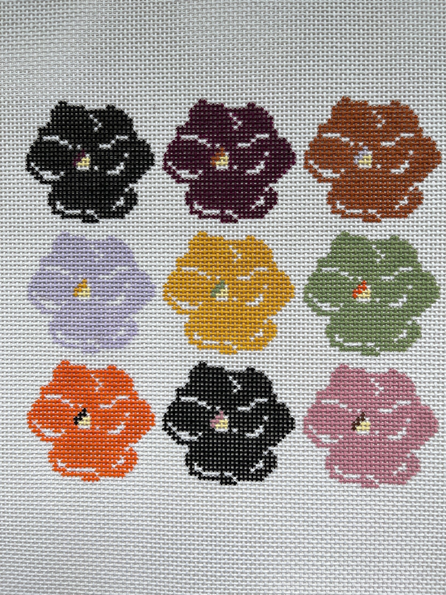 Fall Pansy Pack C-ET19