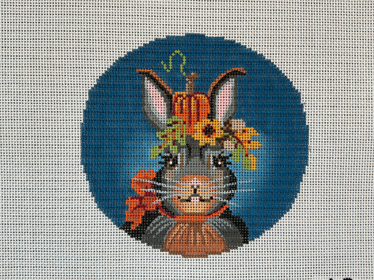 Janie the Jack Rabbit C-KFC1418