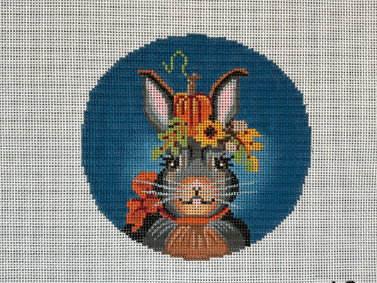Janie the Jack Rabbit C-KFC1418