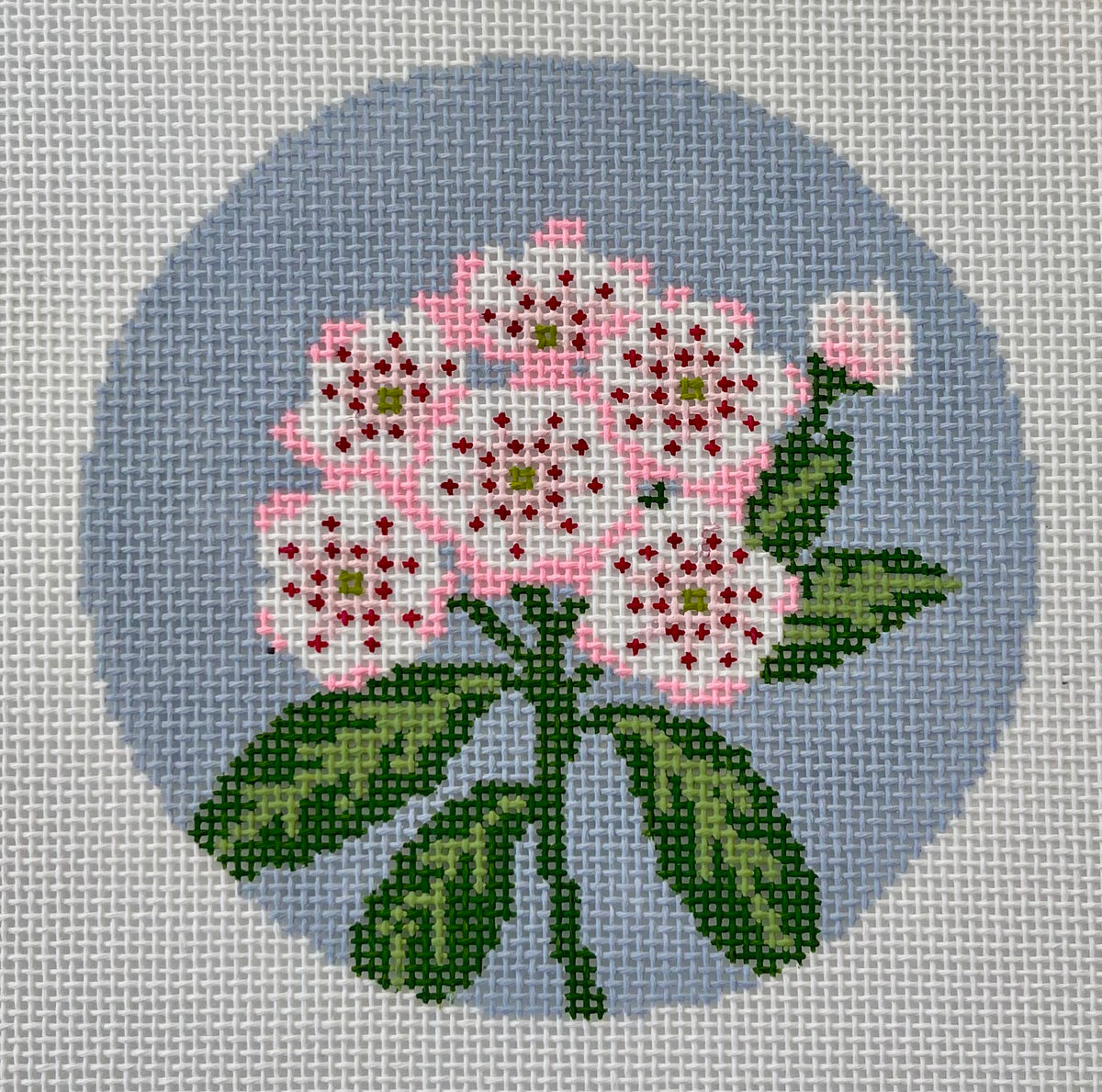 Mountain Laurel | Flowers of America (CT & PA) C-LLN067