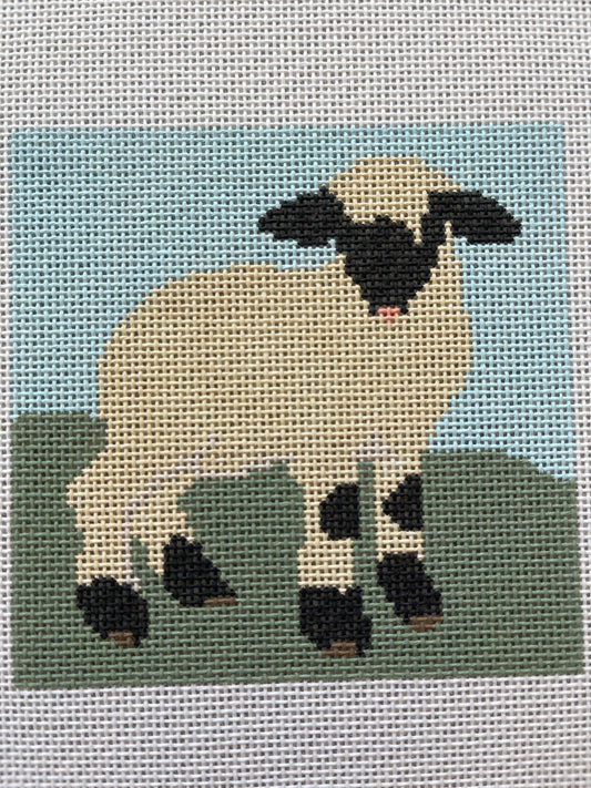 Baby Sheep C-SASNIN040