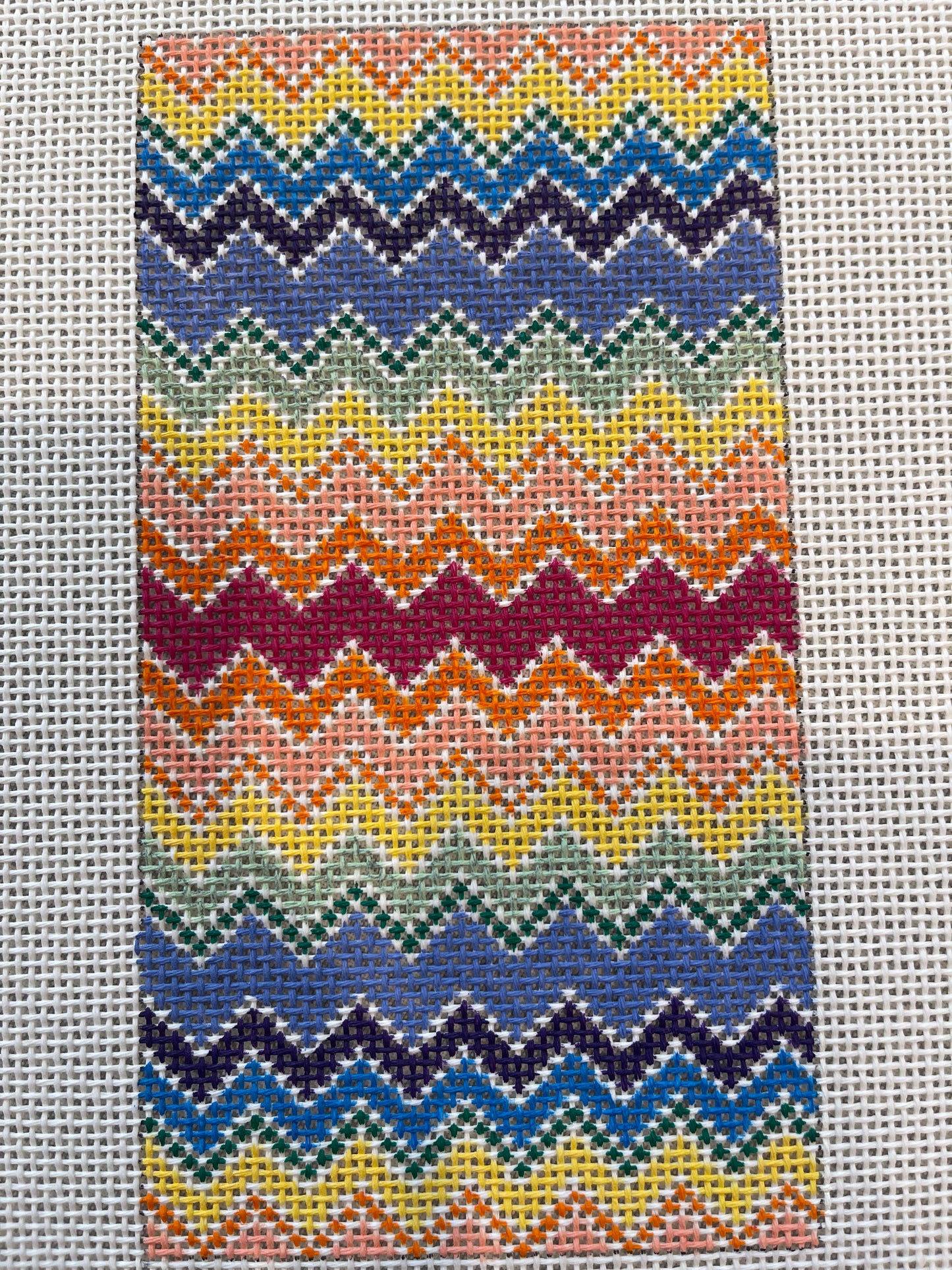 Bargello Eyeglass Case TS-VE03