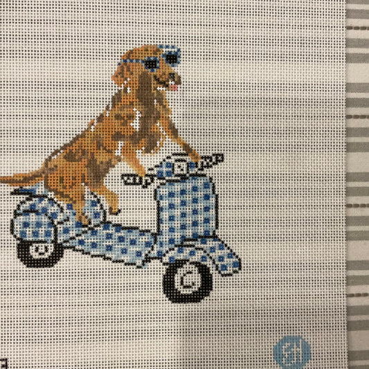 Dog on Blue Gingham Moped C-PLC-EH1WS