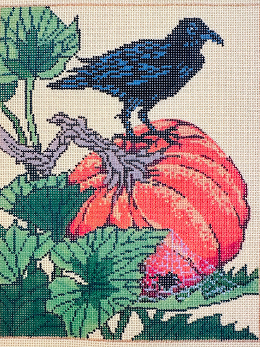 Crow on a pumpkin C-FDPcrow