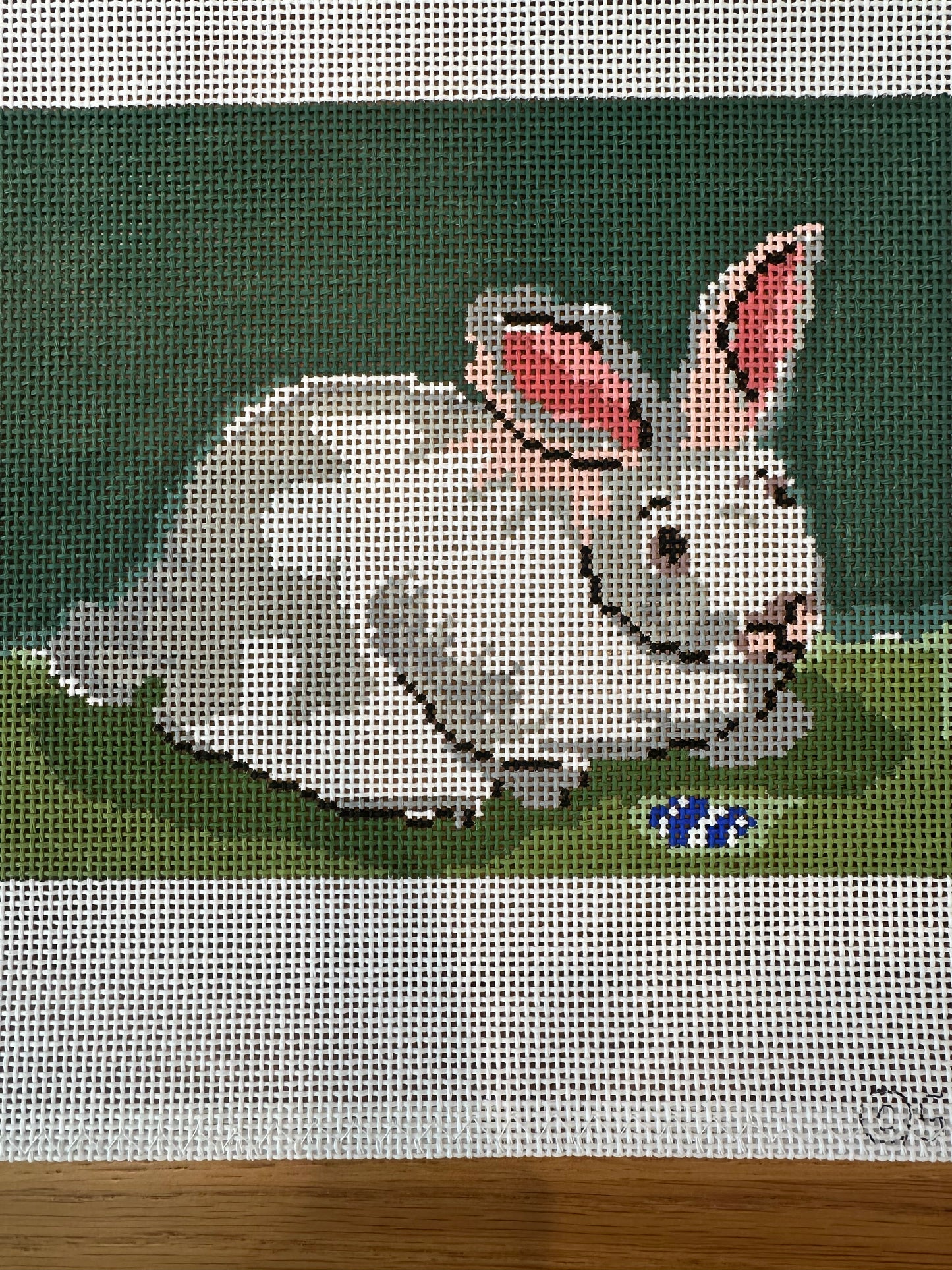 Rabbit with Blue Egg  TS-SWG623