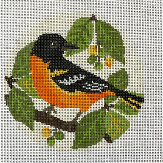 Baltimore Oriole Bird C-KCD1839