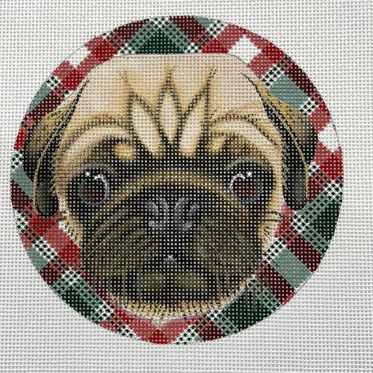 Pug Dog on Plaid C-M324