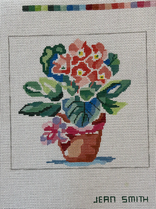 Pot of Primrose C-JS150C