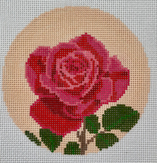 Rose | Flowers of America (NY) C-LLN073