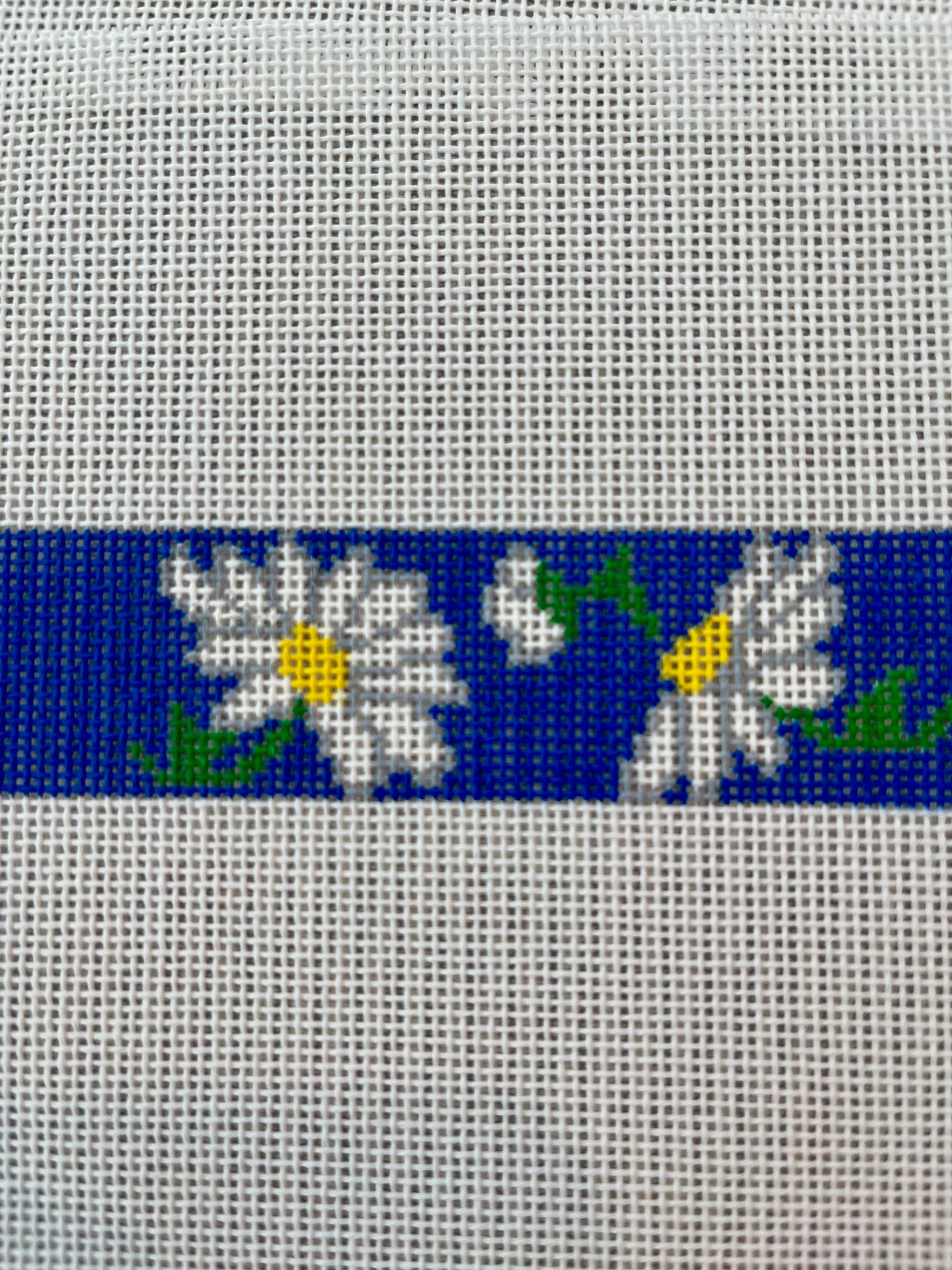 Daisies Dog Collar C-DC122C